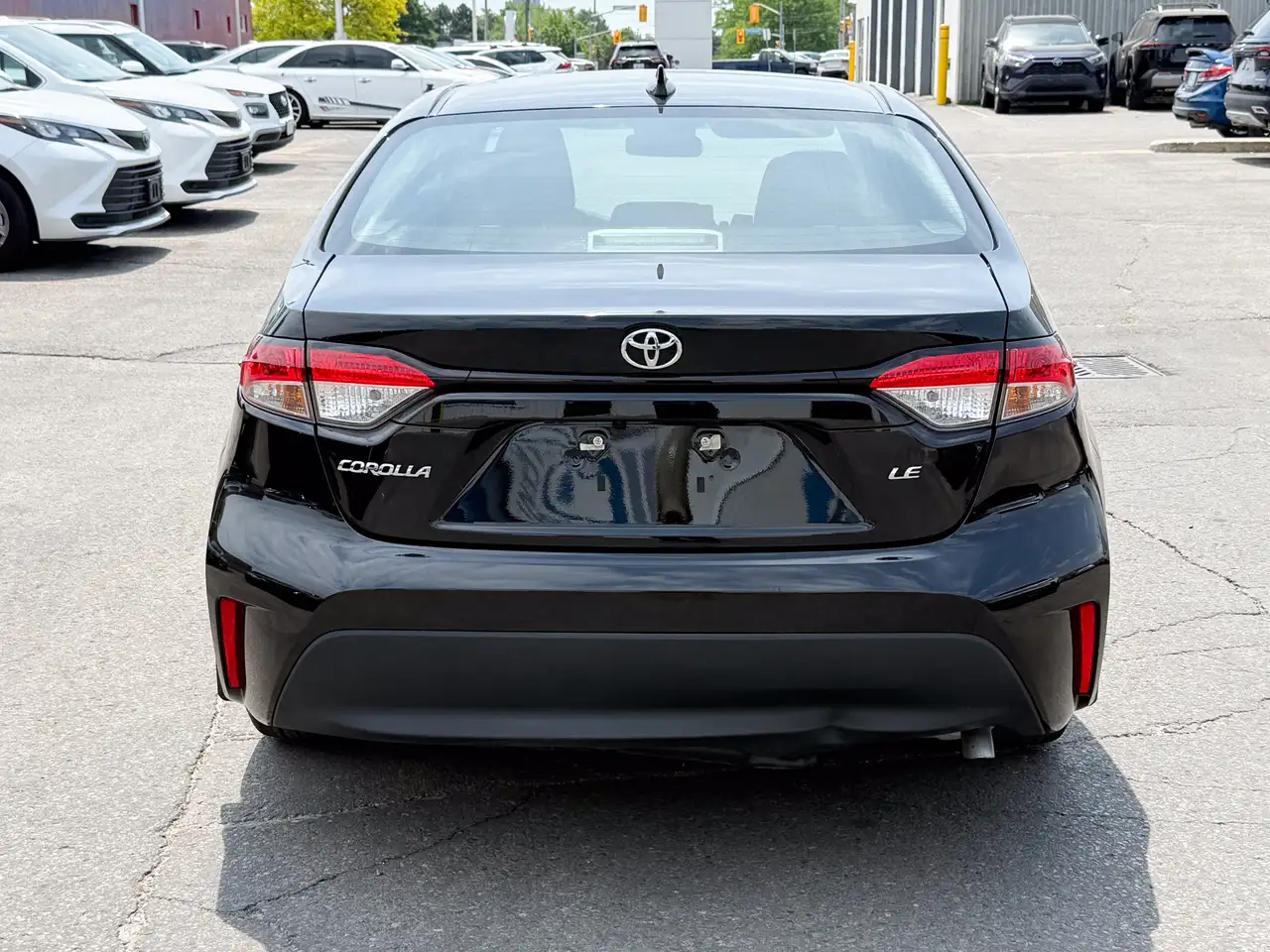Toyota Corolla photo Toyota Corolla