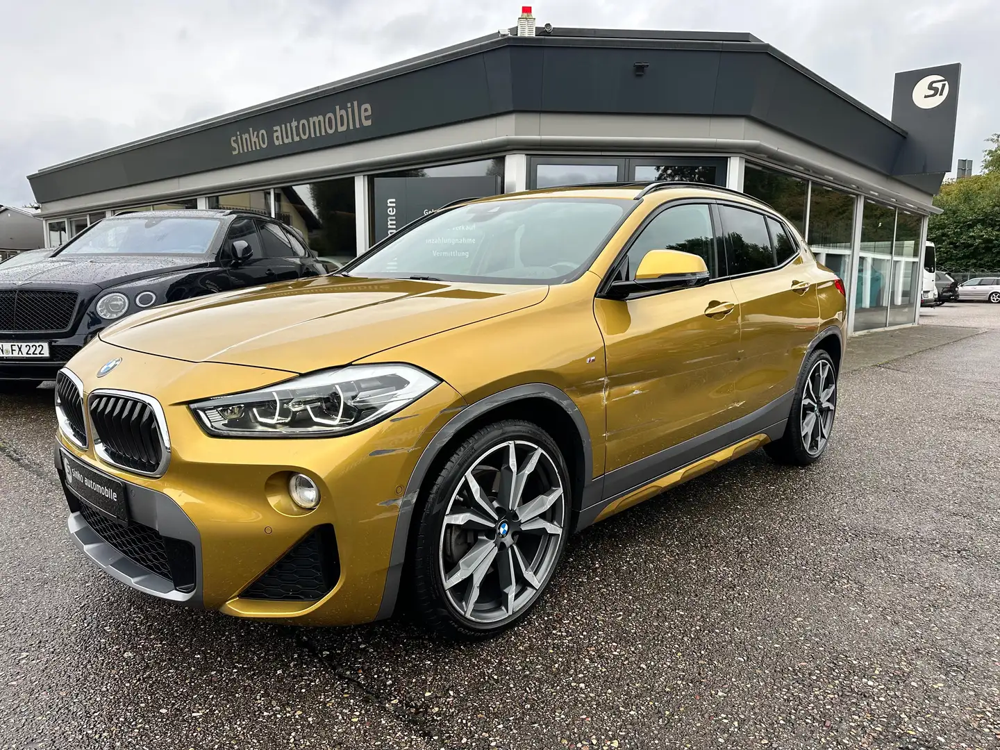 BMW X2 xDrive 20 d M Sport X Panorama AHK 20 " Beige - 1
