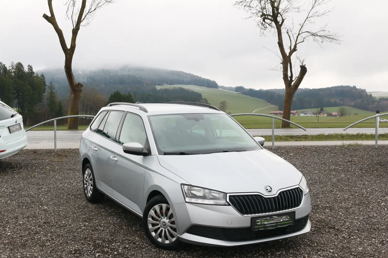 Skoda Fabia Combi*Navi*LED*Sitzheizung*Parkhilfe*Freisprech Silber - 1