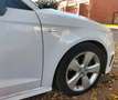 Audi A3 A3+2.0TDI+Ambition+150+Ambition Blanco - thumbnail 7