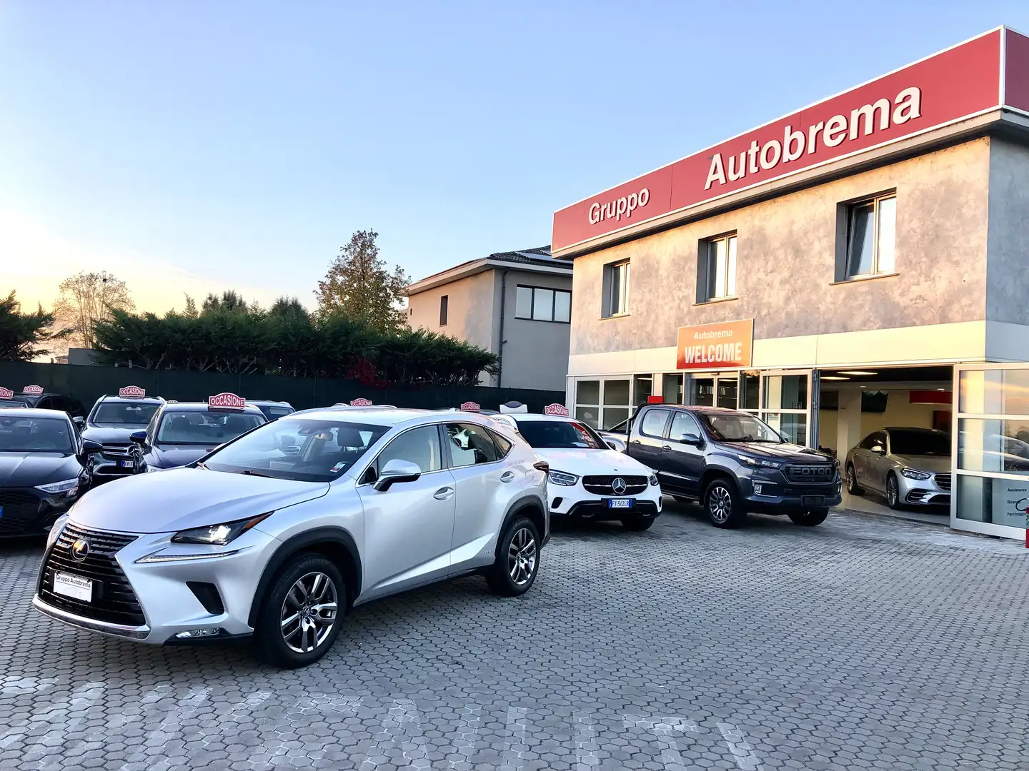 Lexus NX 300 NIX 300h 2.5 Business 2wd cvt Grijs - 1