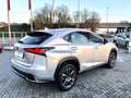 Lexus NX 300 NIX 300h 2.5 Business 2wd cvt Grigio - thumbnail 5