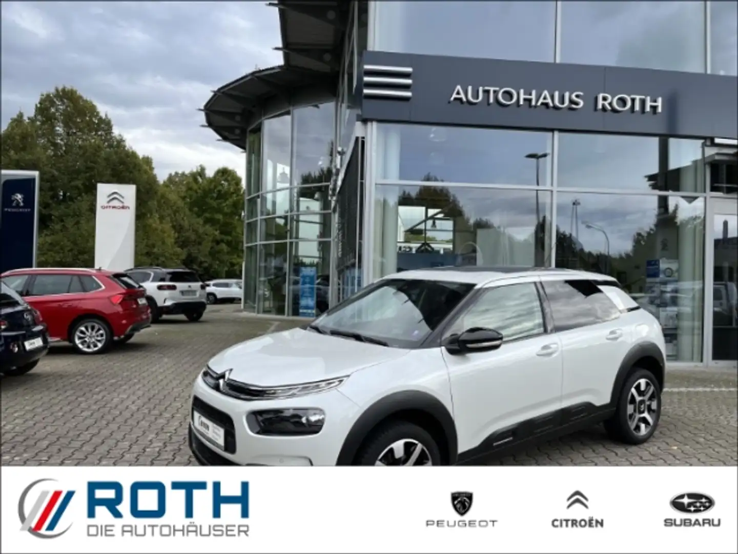 Citroen C4 Cactus PureTech 130 Stop&Start Shine Panorama Navi Dyn. K Bianco - 1