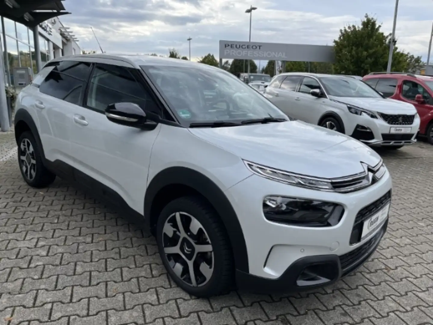 Citroen C4 Cactus PureTech 130 Stop&Start Shine Panorama Navi Dyn. K Bianco - 2