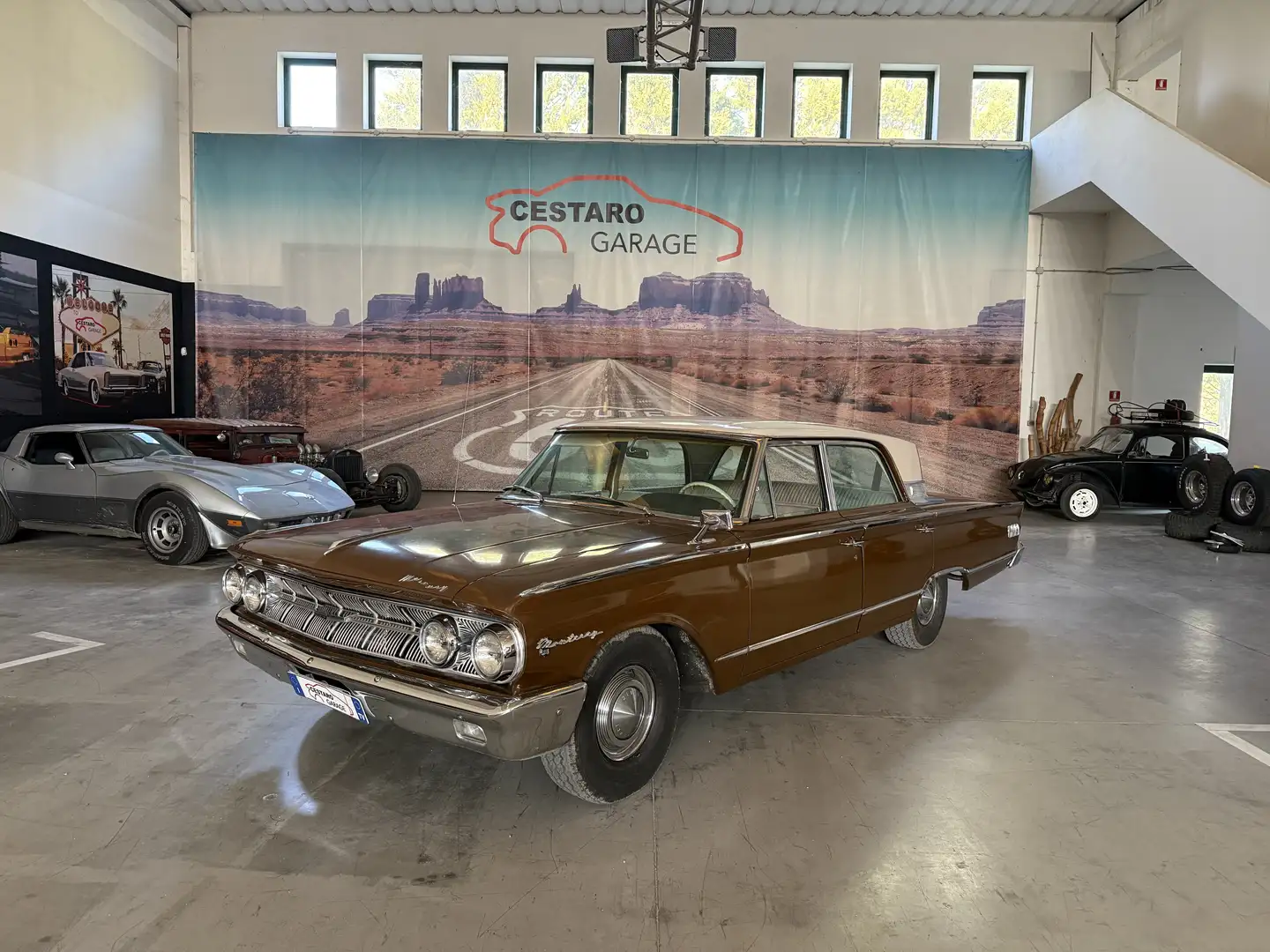 Ford Mercury Monterey Braun - 2