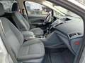 Ford C-Max C-MAX Champions Edition Silber - thumbnail 12