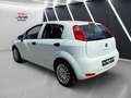 Fiat Punto Evo 1 Hand Klima 1.2 Weiß - thumbnail 6