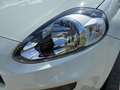 Fiat Punto Evo 1 Hand Klima 1.2 Weiß - thumbnail 13