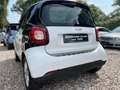 smart forTwo *TURBO*PASSION*PANORAMA*SITZHEIZUNG* Weiß - thumbnail 34