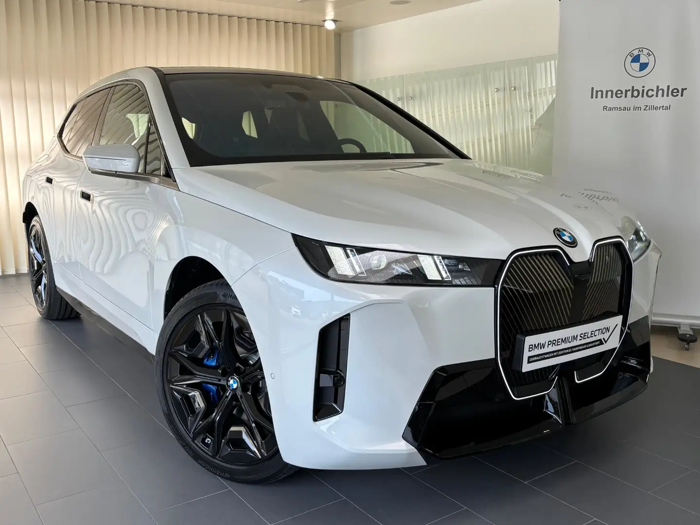 BMW iX iX xDrive45 Wit - 1