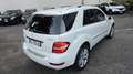 Mercedes-Benz ML 350 Cdi bt Sport Auto EURO6 - thumbnail 10