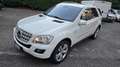 Mercedes-Benz ML 350 Cdi bt Sport Auto EURO6 - thumbnail 12
