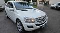Mercedes-Benz ML 350 Cdi bt Sport Auto EURO6 - thumbnail 13