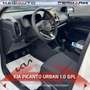 Kia Picanto Picanto 1.0 12V GPL 5 porte Urban Wit - thumbnail 4