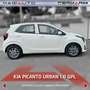 Kia Picanto Picanto 1.0 12V GPL 5 porte Urban Wit - thumbnail 3