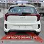 Kia Picanto Picanto 1.0 12V GPL 5 porte Urban Wit - thumbnail 13