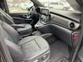 Mercedes-Benz V 250 d EDITION Lang AMG Line Burm|TWA|S-Dach Grau - thumbnail 17
