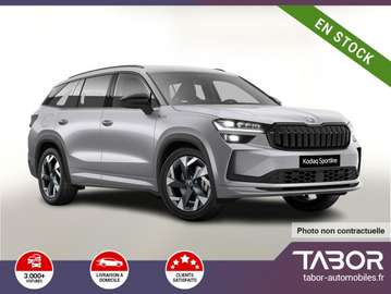 eTSI DSG Sportl attelage Matrix