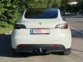 Tesla Model Y Tesla Model Y LR AWD | EAP | AHK | MwSt. ausweisbar! Leasingübernahme möglich (1% Raiffeisen) Weiß - thumbnail 3