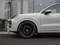 Porsche Cayenne E-HYB SPORTDES/AIR/TREKH/21"RS/MATR/PANO/14W/BOSE Grijs - thumbnail 14