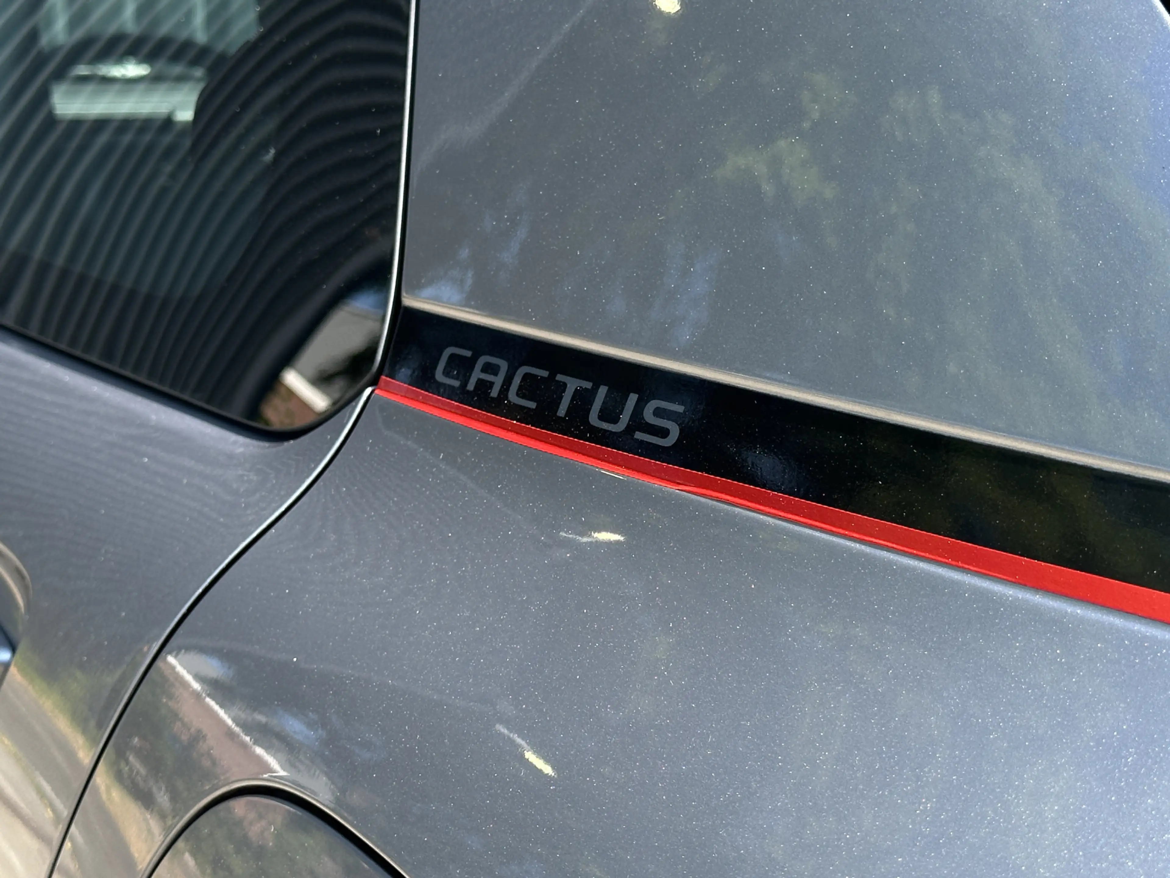 Citroen C4 Cactus 1.2 PureTech 110 pk Business Carplay, Cruise, Sens — photo 42