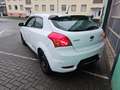 Kia Ceed SW / cee'd SW Ceed SW Diesel 1.6 CRDi Vision Blanco - thumbnail 3