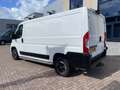 Fiat Ducato 30 2.3 MultiJet L2H1 Inbouw-werkbank- NL Bus Blanc - thumbnail 2