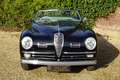 Alfa Romeo Alfa 6 6C 2500 Super Sport Cabriolet Magnificent livery o Black - thumbnail 5