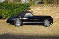 Alfa Romeo Alfa 6 6C 2500 Super Sport Cabriolet Magnificent livery o Noir - thumbnail 14