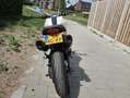 Ducati Monster 696 Wit - thumbnail 6