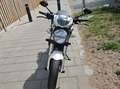 Ducati Monster 696 Wit - thumbnail 4