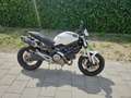 Ducati Monster 696 Wit - thumbnail 3