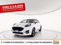 Ford Puma 1.0 ecoboost h st-line s&s 125cv Wit - thumbnail 1