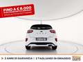 Ford Puma 1.0 ecoboost h st-line s&s 125cv Wit - thumbnail 5