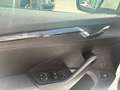 Skoda Octavia 2.0TDI Ambition 110kW Blanco - thumbnail 23