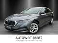 Skoda Octavia Combi 1.4 TSI iV Style/AHK/KAMERA/ACC/ Grau - thumbnail 1