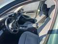 Volkswagen Passat Variant 1.5 eTSI Business DSG Grün - thumbnail 13