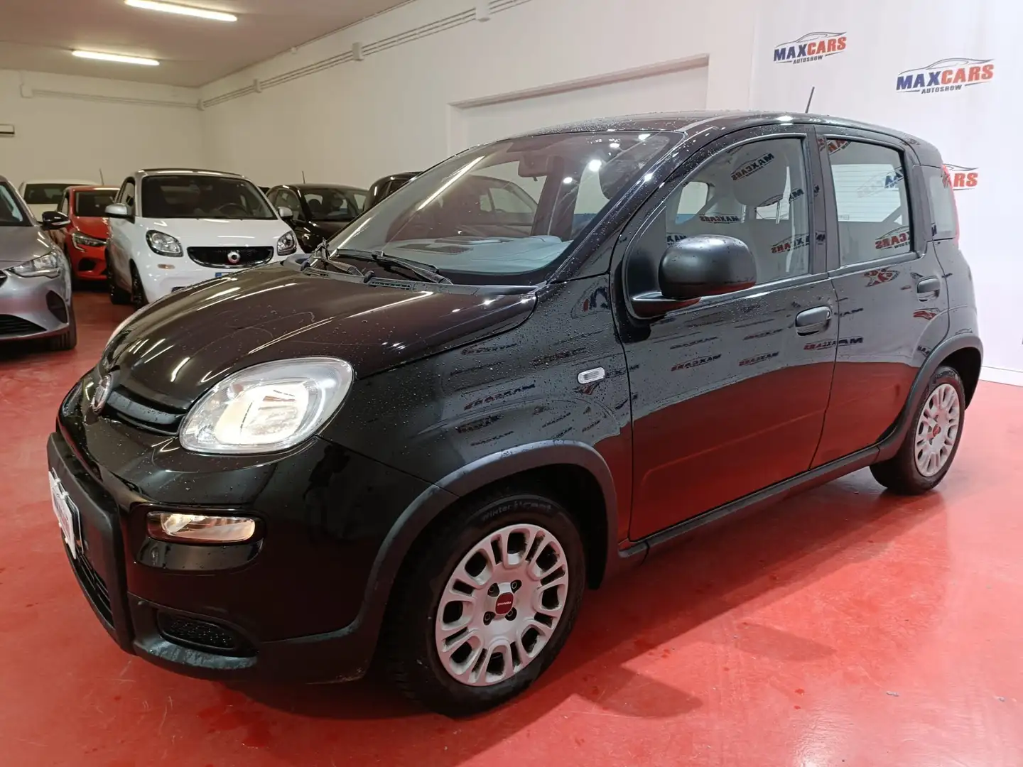 Fiat Panda 1.0 HYBRID 70CV S&S Nero - 2