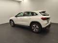 Mercedes-Benz EQA 250 EQA 250 Prog Distr RüCam LED WinterP Totw  DAB Weiß - thumbnail 9