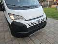 Fiat Ducato MAXI 140 Serie10-9.2 2025 L4 DOKA 2,9 M. Weiß - thumbnail 22