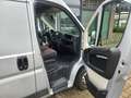 Citroen Jumper Jumper 35 HDi 35 LH2 *Neuer Motor 11.500€* Silber - thumbnail 9