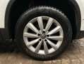 Volkswagen Tiguan Tiguan 2.0 TDI DPF 4Motion BlueMotion Techn. DSG Weiß - thumbnail 8