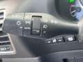 Lexus NX 300h EXECUTIVE LINE Grau - thumbnail 15