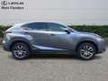 Lexus NX 300h EXECUTIVE LINE Grau - thumbnail 3