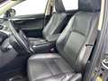 Lexus NX 300h EXECUTIVE LINE Grau - thumbnail 7