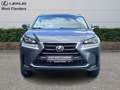 Lexus NX 300h EXECUTIVE LINE Grau - thumbnail 2
