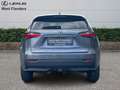 Lexus NX 300h EXECUTIVE LINE Grau - thumbnail 6