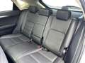 Lexus NX 300h EXECUTIVE LINE Grau - thumbnail 8