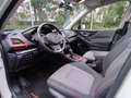 Subaru Forester 2.0i e-BOXER Sport Trekhaak - Panoramadak - Adapti Blanc - thumbnail 25