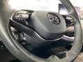 Skoda Enyaq iV 60 *Matrix*CAM*CarPlay*SHZ*Navi*19Zoll* Grau - thumbnail 14